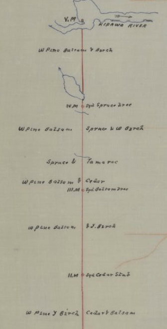 Inventaire forestier : région de la rivière Kipawa, Comté de Témiscamingue ; license no 35 . - 1890 - BANQ - Cote : P228,S1,P49