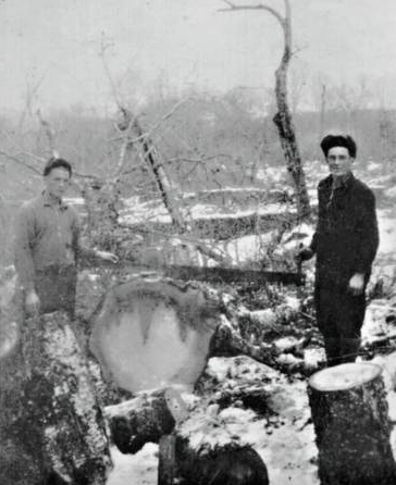 Exemple de coupe au godendart - tiré de http://public.sogetel.net/munstesabine/foresti.htm